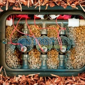 Rainbird 100-DV 1'' 9 Volt Pilli Selenoid Vana - Görsel 2