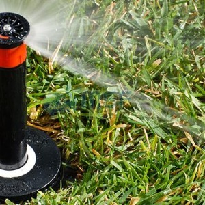 Hunter PS Ultra 8A Sprey Spring, 17 Cm  ½" Giriş / 2,4mt.  Menzil (Yarıçap) - Görsel 4