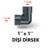 DİŞİ DİRSEK