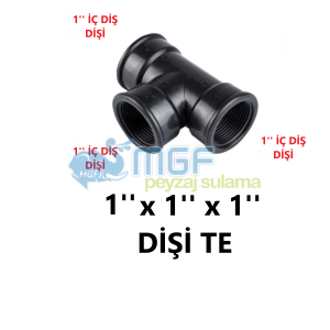 1''PE Dişli Te 1'' Dişi x 1'' Dişi x 1'' Dişi Te