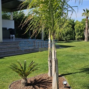MGF 10 Metre Esnek Kesik Galvaniz Bordür Ayraç | Çim Ayırıcı Bahçe Sınırlayıcı - Görsel 8